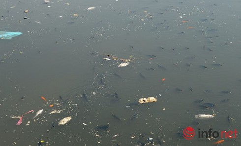 Ngoài sự cố Formosa, cả nước có hơn 20 vụ ô nhiễm môi trường lớn - ảnh 1