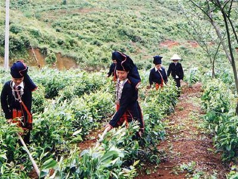 5 tiêu chí huyện nghèo áp dụng cho giai đoạn 2017 - 2020 - ảnh 1