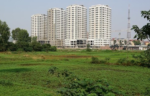 Lập 17 đoàn kiểm tra xử lý thông tin đường dây nóng,