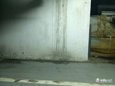 Hãi hùng cuộc sống ô nhiễm, bế tắc tại chung cư Hồ Gươm Plaza - ảnh 3