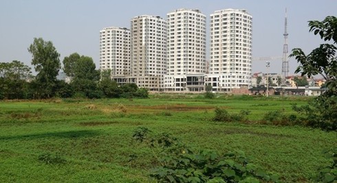 Người có tiền không dại nhưng tại sao vẫn