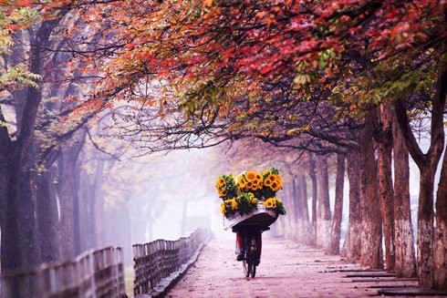 Báo Ấn Độ: Việt Nam như con phượng hoàng tung cánh - ảnh 1