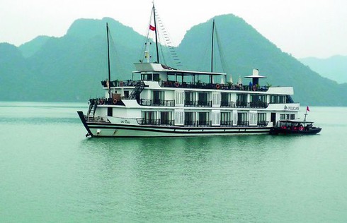 Báo Ấn Độ: Việt Nam như con phượng hoàng tung cánh - ảnh 2