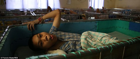 Báo Anh: Những 'nỗi đau da cam' ở Việt Nam khiến tim bạn 'tan chảy' - ảnh 3