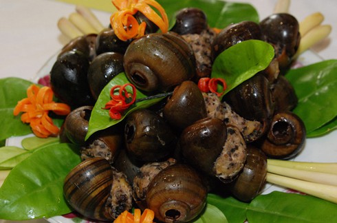 Bà bầu có nên ăn ốc? - ảnh 1