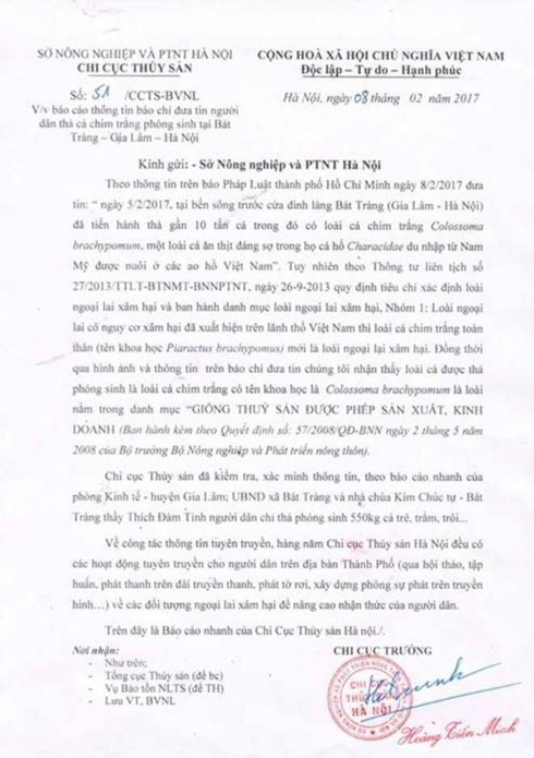 Chi cục Thủy sản Hà Nội: Cá chim trắng phóng sinh không gây hại cho môi trường - ảnh 1