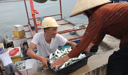 15 ngày nữa phải công khai các chỉ số hải sản tầng đáy 4 tỉnh miền Trung - ảnh 1