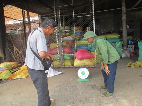 Thương lái Trung Quốc trở mặt, tư thương Việt lỗ nặng - ảnh 2