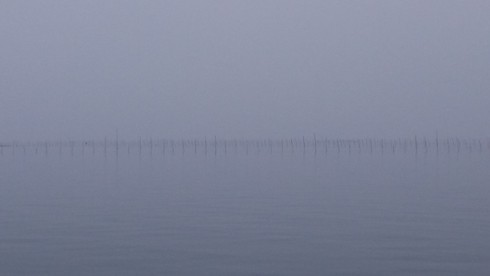 Xót xa cảnh tận diệt nguồn lợi thuỷ sản tại Quảng Ninh - ảnh 1