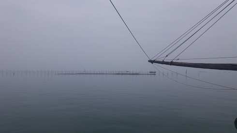 Xót xa cảnh tận diệt nguồn lợi thuỷ sản tại Quảng Ninh - ảnh 3