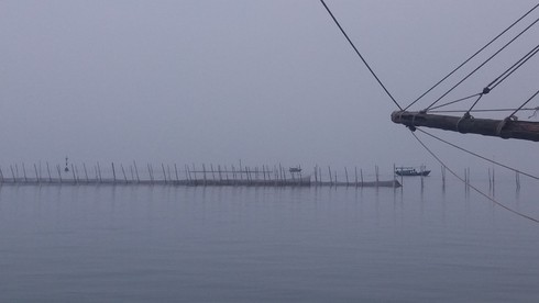 Xót xa cảnh tận diệt nguồn lợi thuỷ sản tại Quảng Ninh - ảnh 4