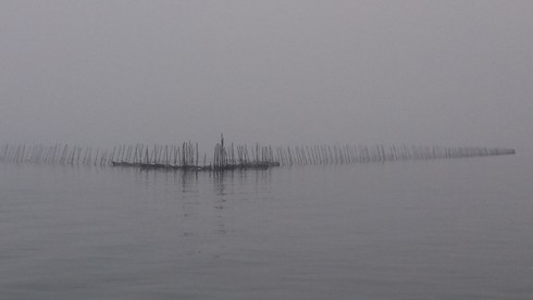 Xót xa cảnh tận diệt nguồn lợi thuỷ sản tại Quảng Ninh - ảnh 2