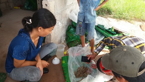 Quảng Ninh: Tôm chết hàng loạt, người nuôi bán vội tôm non - ảnh 3