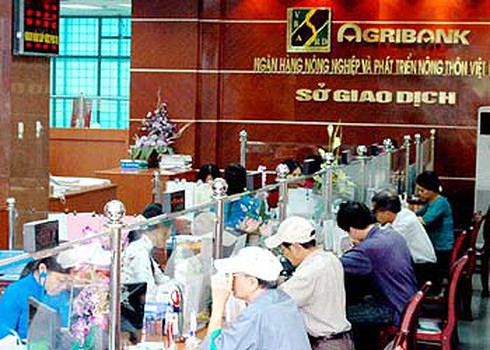 VAMC mua hơn 1.700 tỷ đồng nợ xấu của Agribank - ảnh 1