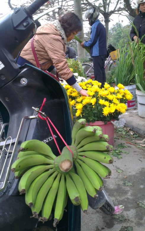 Một thúng rau lãi không mua nổi một cân thịt - ảnh 1