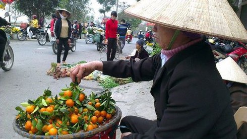 Một thúng rau lãi không mua nổi một cân thịt - ảnh 2