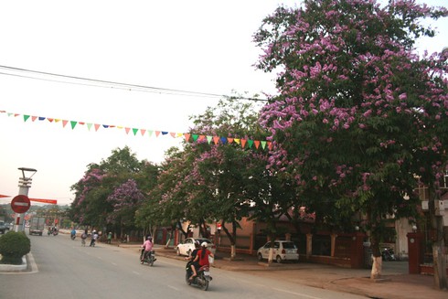 Chiêm ngưỡng con đường đẹp bậc nhất Điện Biên Phủ - ảnh 2