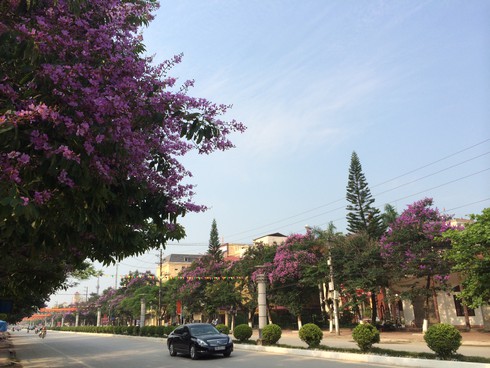 Chiêm ngưỡng con đường đẹp bậc nhất Điện Biên Phủ - ảnh 3