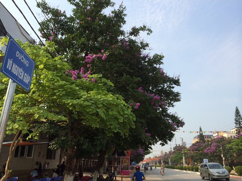 Chiêm ngưỡng con đường đẹp bậc nhất Điện Biên Phủ - ảnh 1