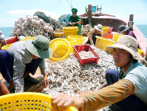 ĐBQH lo tài nguyên biển đang bị khai thác “vô tội vạ” - ảnh 1