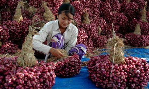 Chính phủ lên kế hoạch