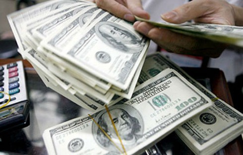 Năm 2015, giá USD sẽ tăng tới đâu? - ảnh 1