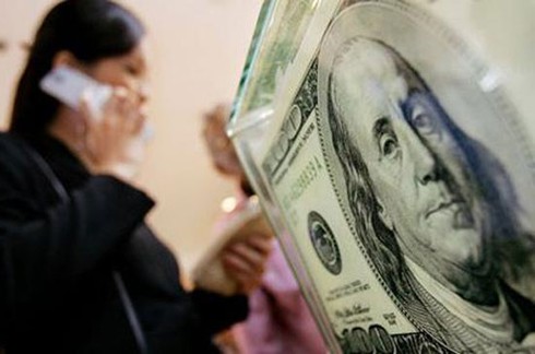 HSBC: Dự trữ ngoại hối Việt Nam còn “mỏng” - ảnh 1