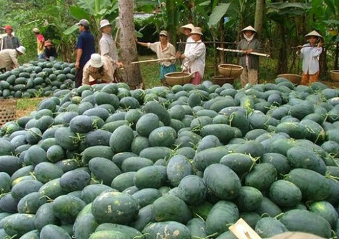 Bộ trưởng Công Thương bị đòi nợ - ảnh 1