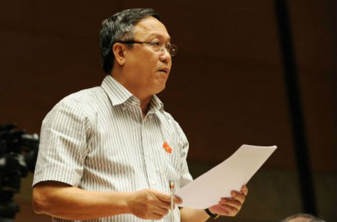 Trưng cầu ý dân nhưng vai trò người dân ở đâu? - ảnh 1