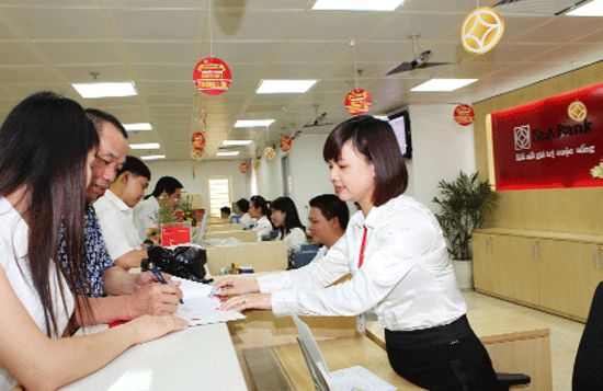 Ngân hàng đổ tiền vào đâu để tăng thêm 15-17% lợi nhuận? - ảnh 1