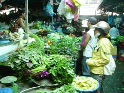 Rau xanh miền Bắc tồn dư hóa chất cao nhất nước - ảnh 1