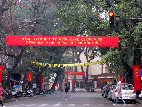 Hà Nội lung linh đón năm mới - ảnh 10