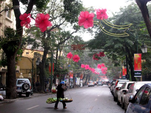 Hà Nội lung linh đón năm mới - ảnh 8