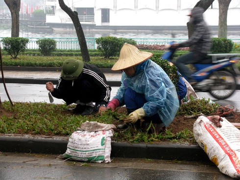 Hà Nội lung linh đón năm mới - ảnh 1