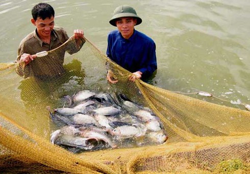 Gắn đào tạo nghề với nhu cầu của các công ty, doanh nghiệp - ảnh 1