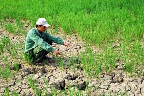 5 triệu USD giảm nhẹ rủi ro thảm họa ở Việt Nam - ảnh 1