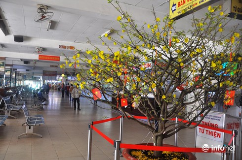 Bùi ngùi những chuyến xe chiều 30 Tết - ảnh 2