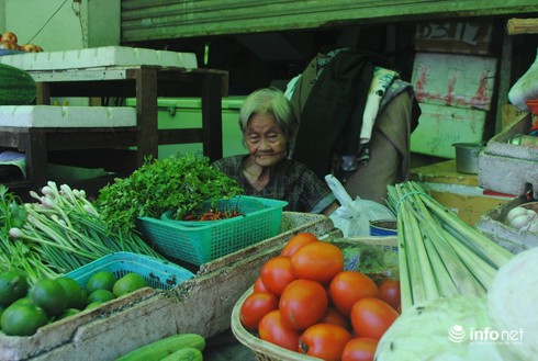 Chuyện về “gia đình nhỏ” của cụ bà cưu mang chó mèo hoang - ảnh 3