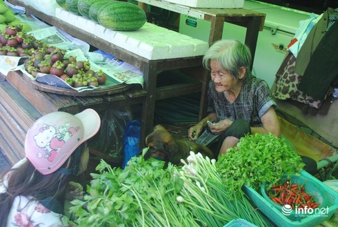 Chuyện về “gia đình nhỏ” của cụ bà cưu mang chó mèo hoang - ảnh 4