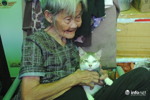 Chuyện về “gia đình nhỏ” của cụ bà cưu mang chó mèo hoang - ảnh 1