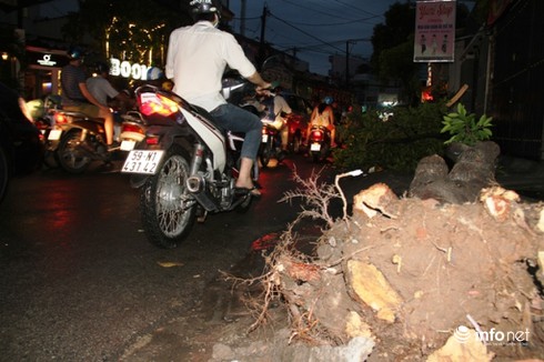 Mưa lốc kinh hoàng xô bật gốc cây, bảng hiệu khổng lồ ở Sài Gòn - ảnh 7