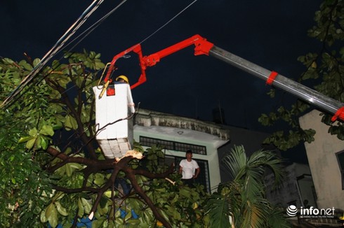 Mưa lốc kinh hoàng xô bật gốc cây, bảng hiệu khổng lồ ở Sài Gòn - ảnh 8