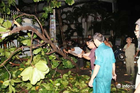 Mưa lốc kinh hoàng xô bật gốc cây, bảng hiệu khổng lồ ở Sài Gòn - ảnh 3