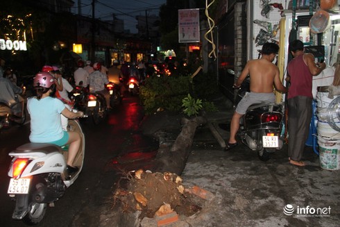 Mưa lốc kinh hoàng xô bật gốc cây, bảng hiệu khổng lồ ở Sài Gòn - ảnh 4