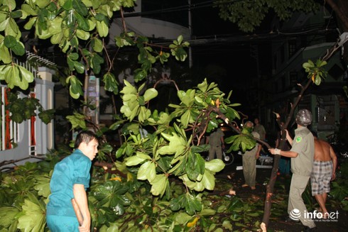 Mưa lốc kinh hoàng xô bật gốc cây, bảng hiệu khổng lồ ở Sài Gòn - ảnh 5