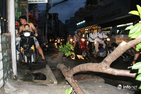 Mưa lốc kinh hoàng xô bật gốc cây, bảng hiệu khổng lồ ở Sài Gòn - ảnh 6