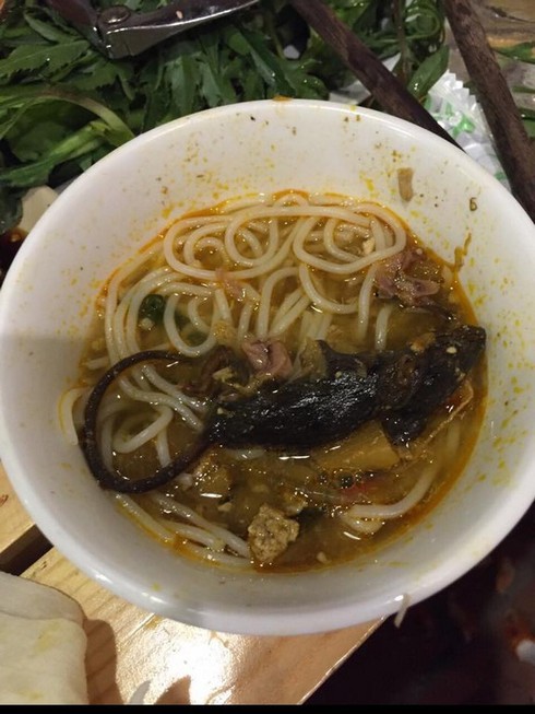 “Thượng đế” phát hoảng vì chuột chết trong nồi lẩu ở Sài Gòn - ảnh 1