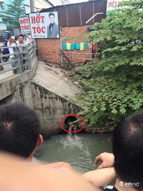 Cô gái bị “ngáo đá” la hét, chui vào cống nước thải - ảnh 1