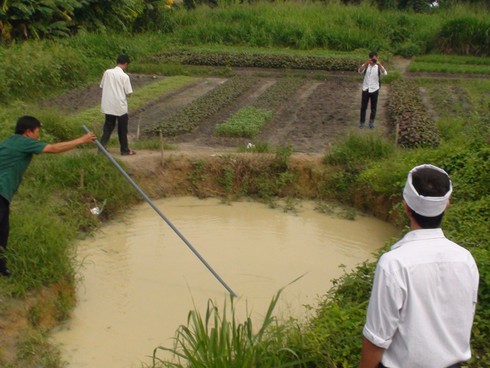 Đồng Nai: 3 trẻ chết đuối dưới hố nước tưới rau sâu 2m - ảnh 1