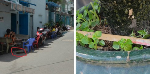 Sau tiếng la hét, người đàn ông gục xuống với nhiều vết thương - ảnh 1